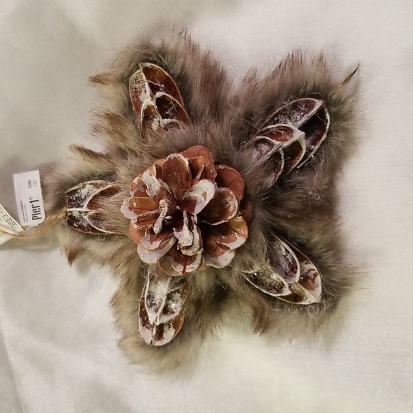 Pier 1 Other - Pier1 ornament